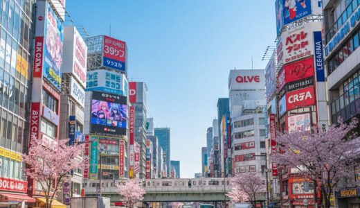 5 common mistakes that cost you money at Japan’s electronics megastores